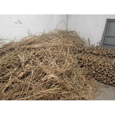 2024042601240917178x.jpg thumb_400x400_2023072909483816913c.jpg